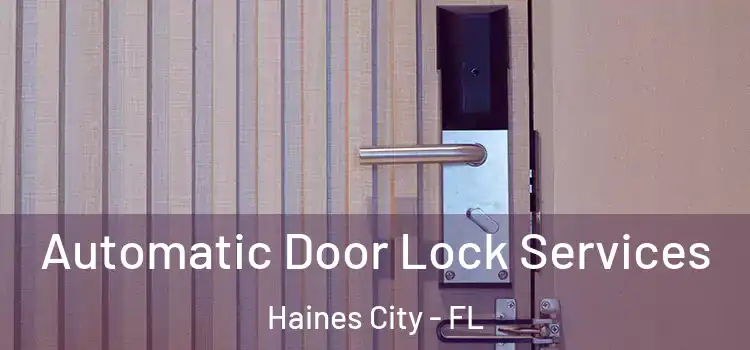 Automatic Door Lock Services Haines City - FL