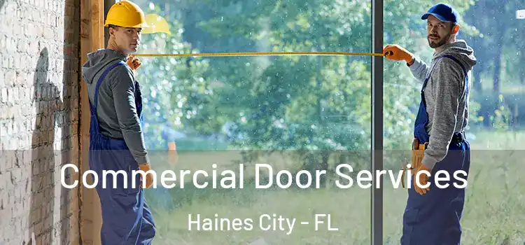  Commercial Door Services Haines City - FL