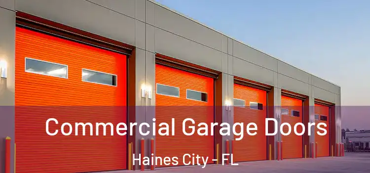  Commercial Garage Doors Haines City - FL