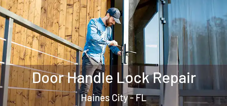  Door Handle Lock Repair Haines City - FL