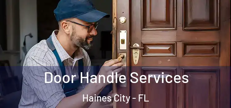  Door Handle Services Haines City - FL