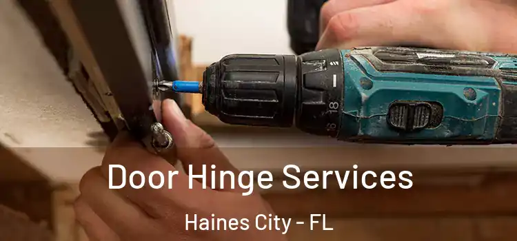  Door Hinge Services Haines City - FL
