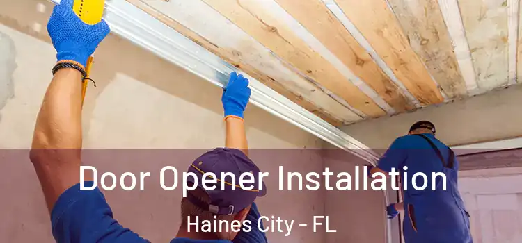  Door Opener Installation Haines City - FL