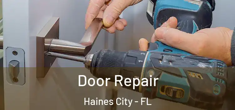  Door Repair Haines City - FL
