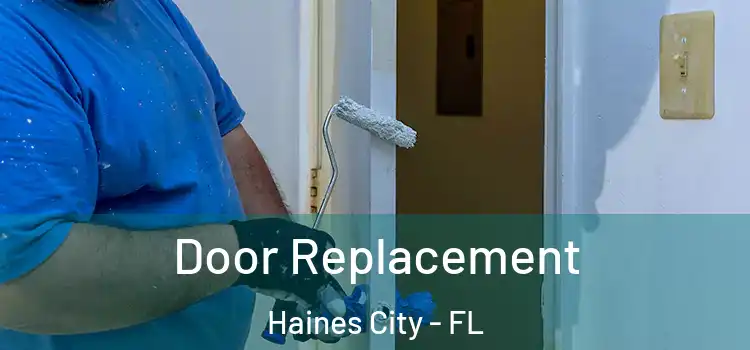  Door Replacement Haines City - FL