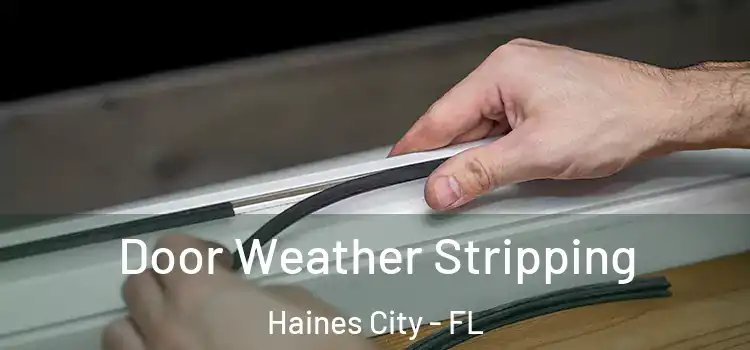  Door Weather Stripping Haines City - FL