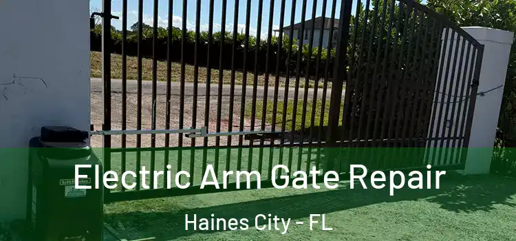  Electric Arm Gate Repair Haines City - FL