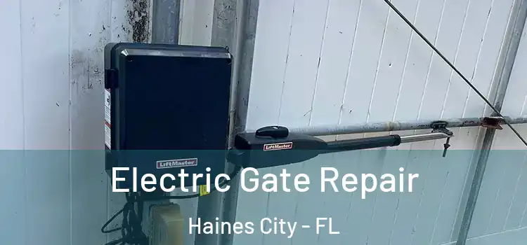  Electric Gate Repair Haines City - FL
