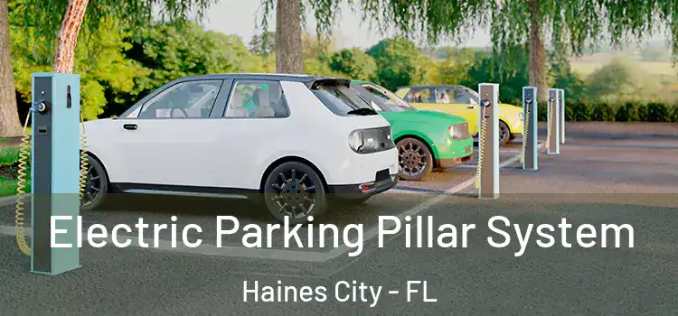  Electric Parking Pillar System Haines City - FL