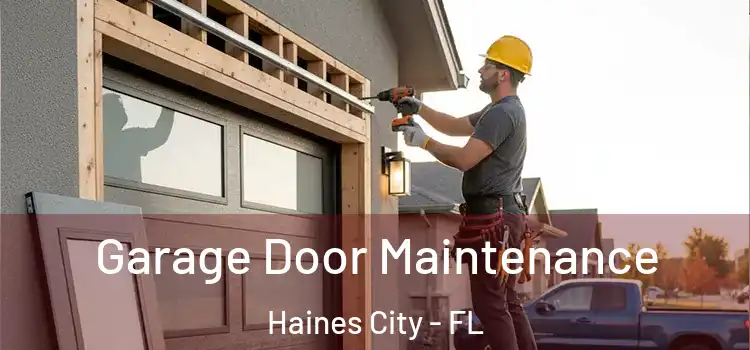  Garage Door Maintenance Haines City - FL
