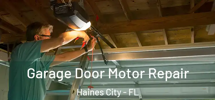  Garage Door Motor Repair Haines City - FL