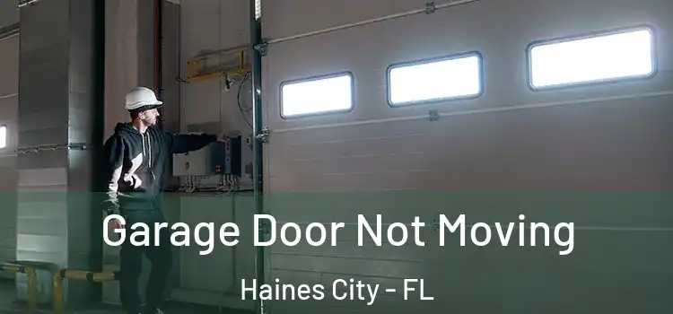  Garage Door Not Moving Haines City - FL
