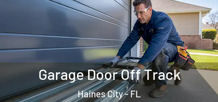  Garage Door Off Track Haines City - FL