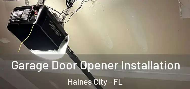  Garage Door Opener Installation Haines City - FL