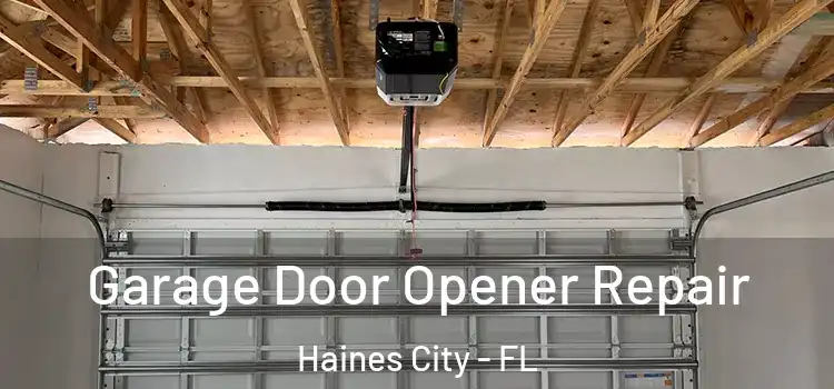  Garage Door Opener Repair Haines City - FL