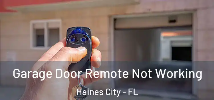  Garage Door Remote Not Working Haines City - FL
