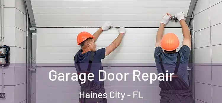  Garage Door Repair Haines City - FL