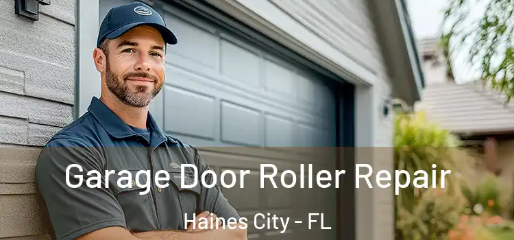  Garage Door Roller Repair Haines City - FL