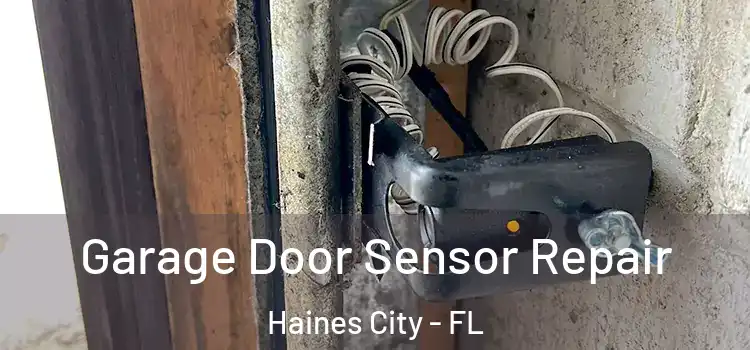  Garage Door Sensor Repair Haines City - FL