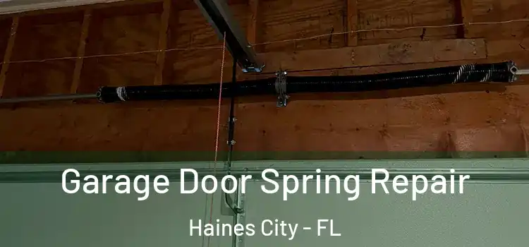  Garage Door Spring Repair Haines City - FL