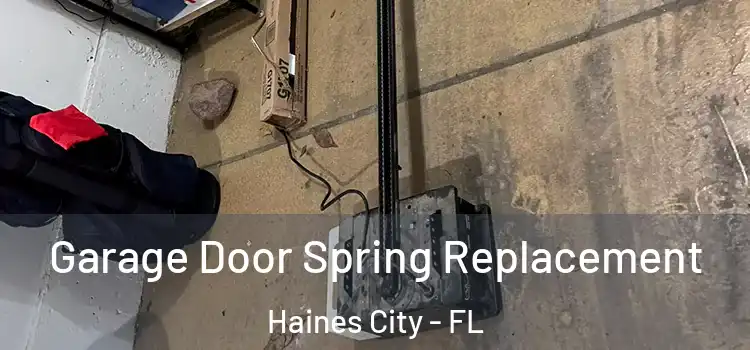  Garage Door Spring Replacement Haines City - FL