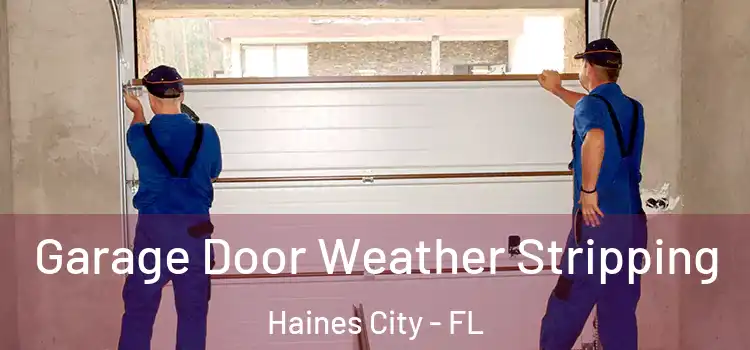  Garage Door Weather Stripping Haines City - FL