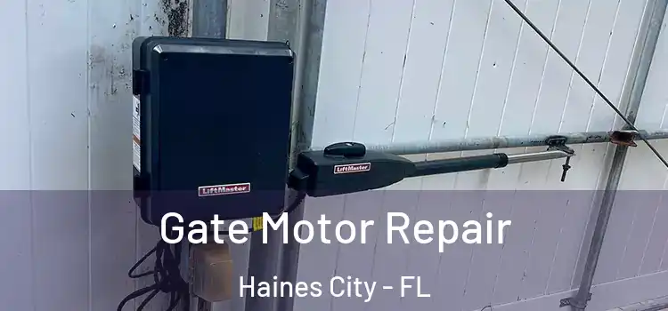  Gate Motor Repair Haines City - FL