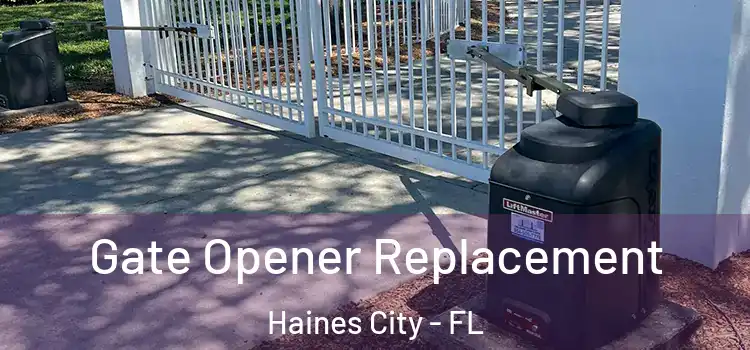  Gate Opener Replacement Haines City - FL