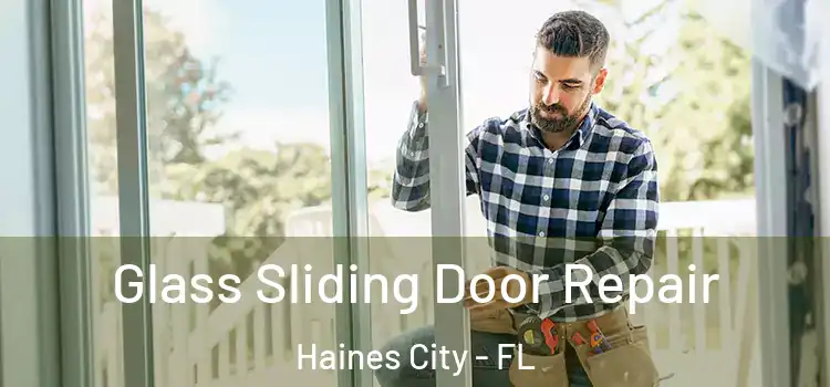  Glass Sliding Door Repair Haines City - FL