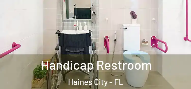  Handicap Restroom Haines City - FL