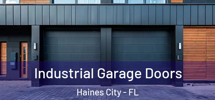  Industrial Garage Doors Haines City - FL