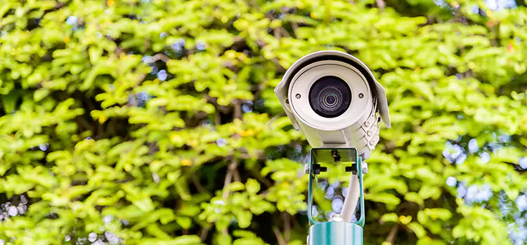 Advanced Surveillance Solutions for Every Need in Haines City