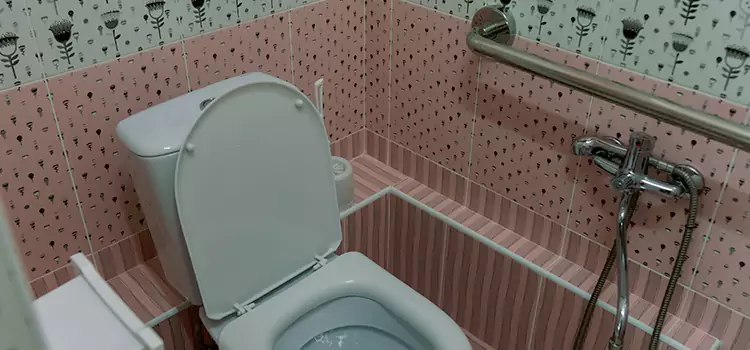 Meeting Diverse Needs With Accessible Restroom Solutions in Haines City, FL