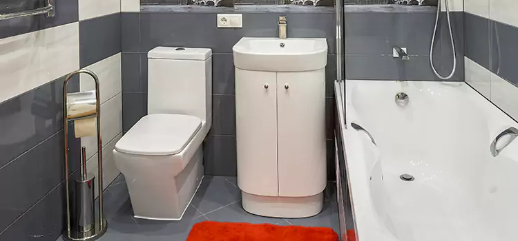 Hansgrohe Shaving Mirror Haines City