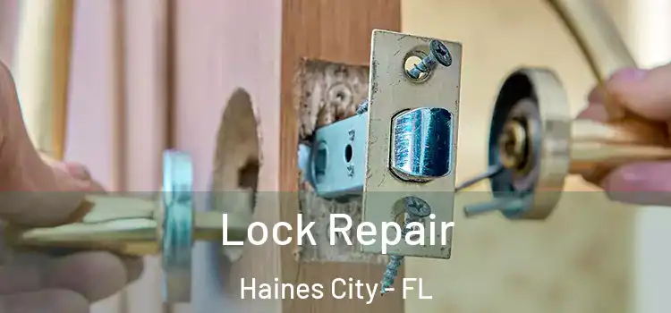  Lock Repair Haines City - FL