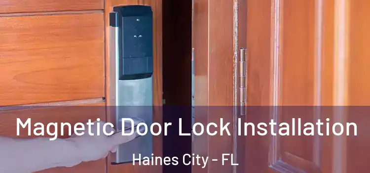  Magnetic Door Lock Installation Haines City - FL