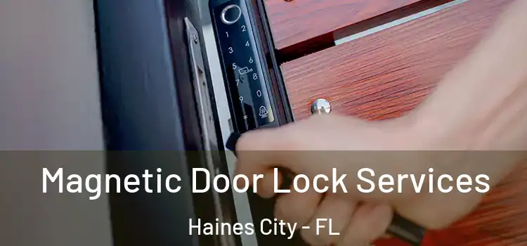  Magnetic Door Lock Services Haines City - FL