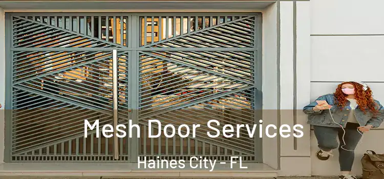  Mesh Door Services Haines City - FL