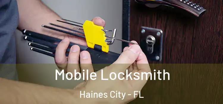  Mobile Locksmith Haines City - FL