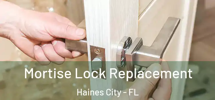  Mortise Lock Replacement Haines City - FL
