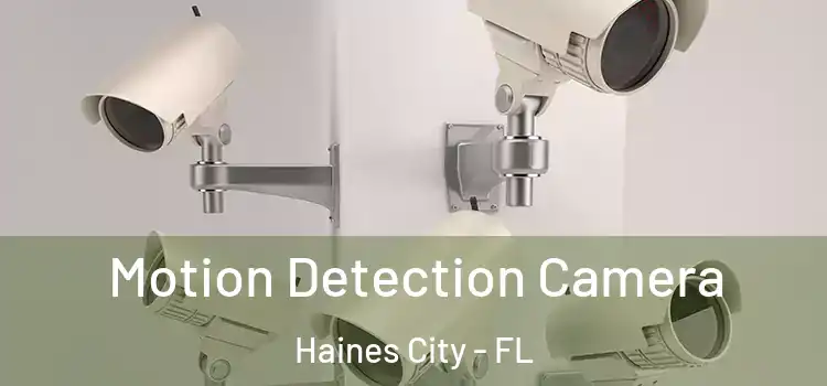  Motion Detection Camera Haines City - FL