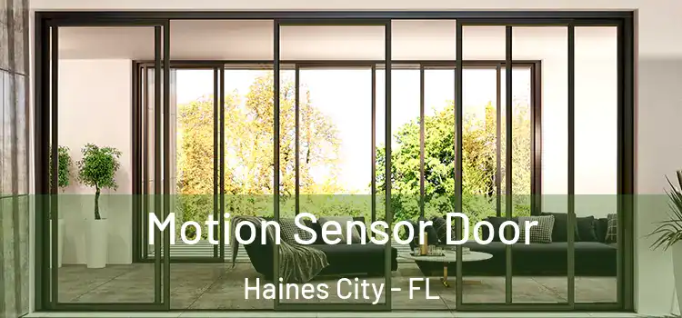  Motion Sensor Door Haines City - FL