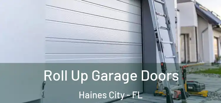  Roll Up Garage Doors Haines City - FL