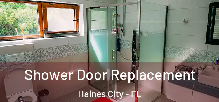  Shower Door Replacement Haines City - FL