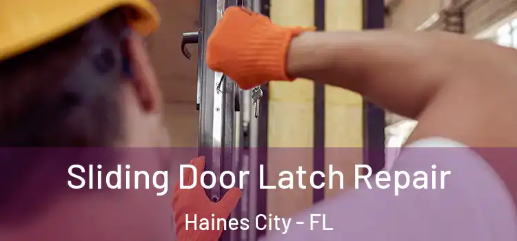  Sliding Door Latch Repair Haines City - FL