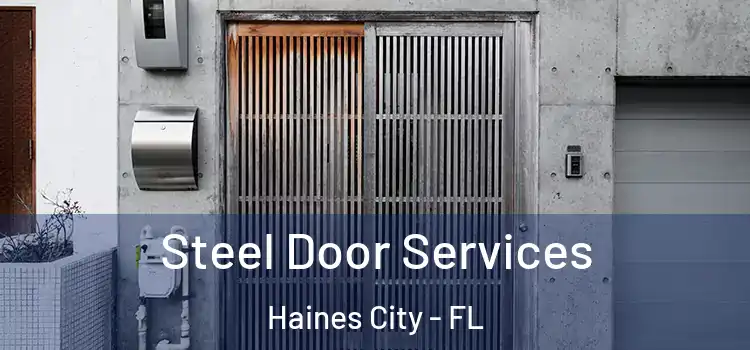  Steel Door Services Haines City - FL