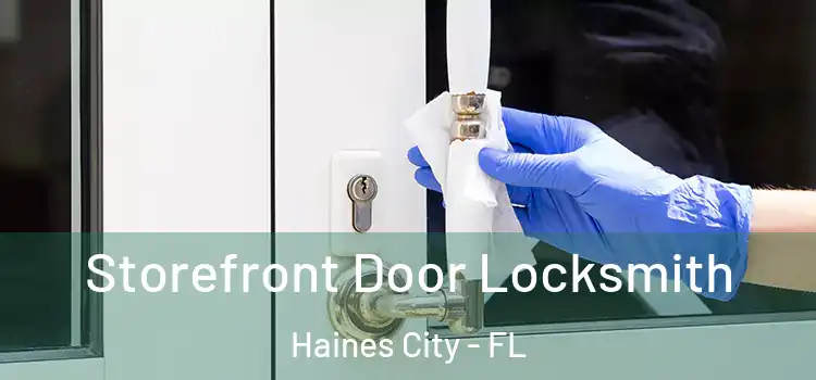  Storefront Door Locksmith Haines City - FL